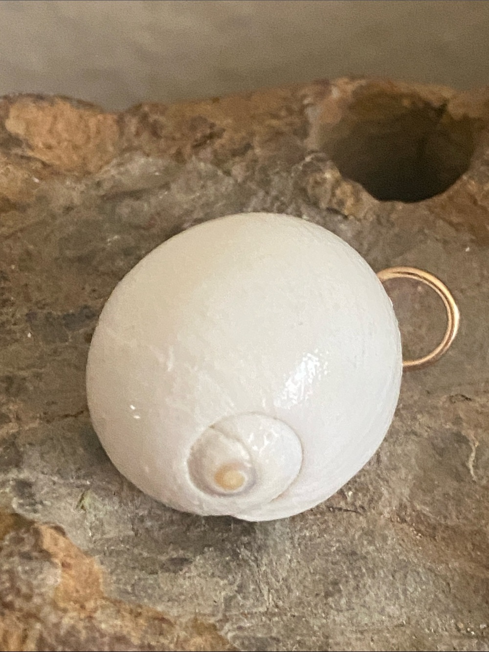 5/$10❤️❤️❤️NEW Natural Moon Snail Shell Pendant Charm